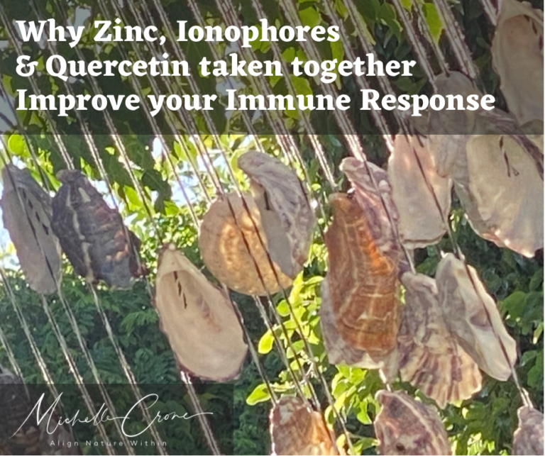 Why Zinc, Ionophores and Quercetin are awesome for your immune response